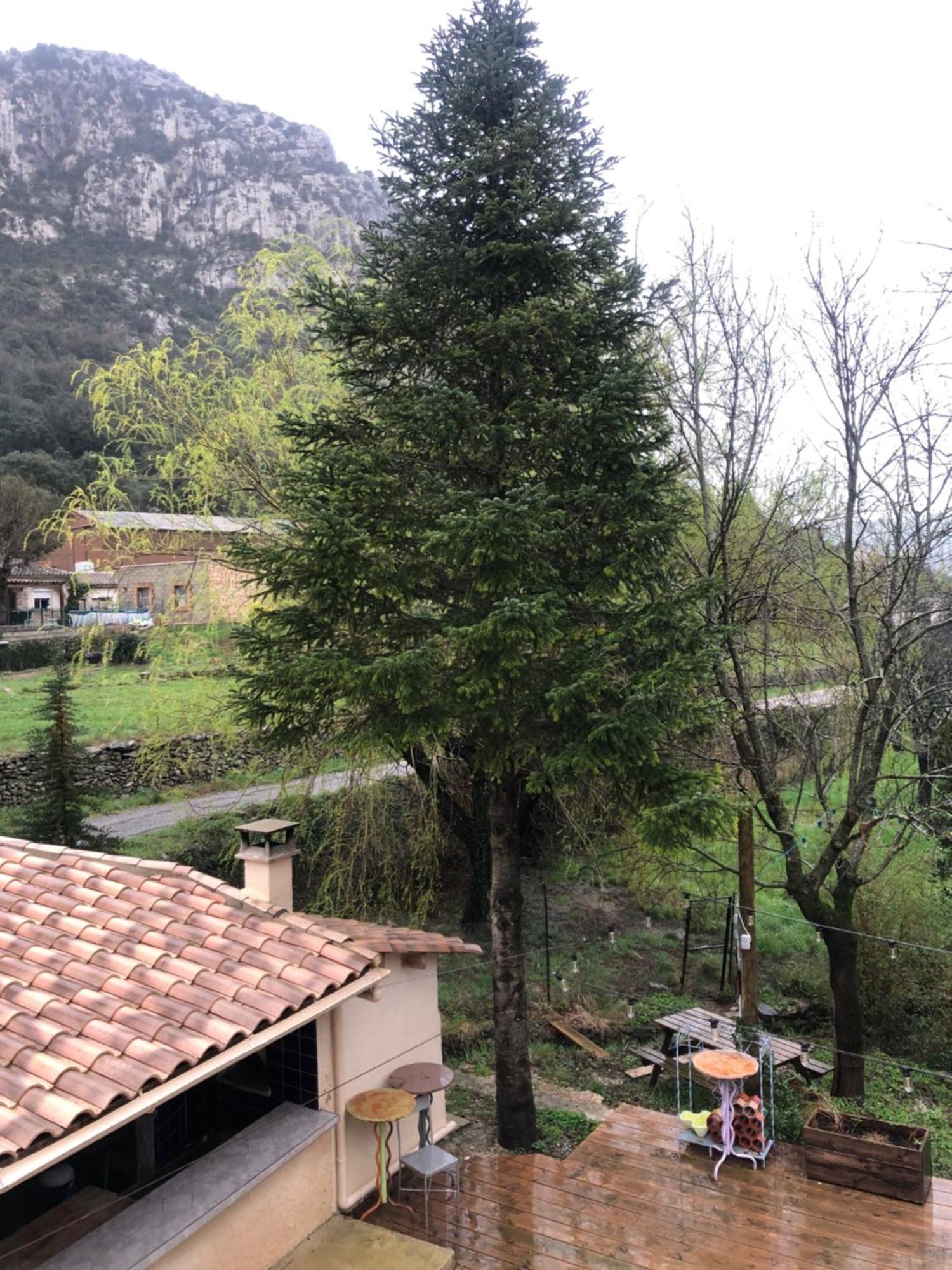 Auberge De La Vallee Saint-Jean-de-Bueges Ngoại thất bức ảnh
